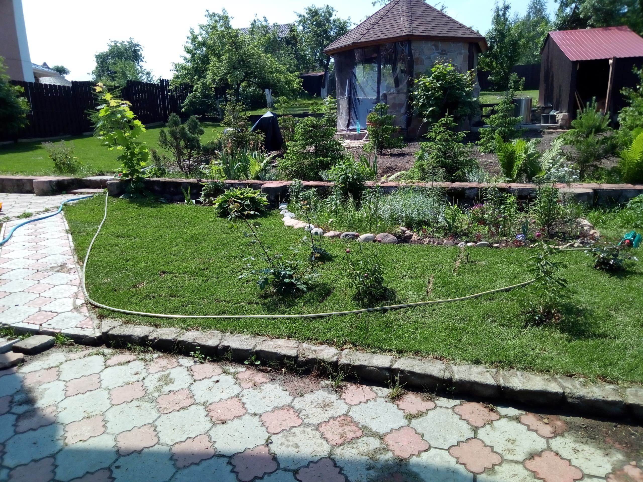 Частный участок: озеленение и благоустройство, 2019