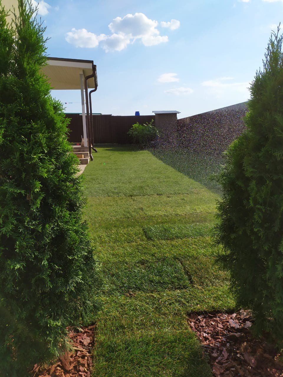 Дренаж, подпорная стенка, рулонный газон и хвойная композиция